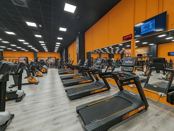 Immagine rappresentativa della categoria Palestra